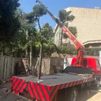 اجاره وکرایه جرثقیل سبک وسنگین شبانه روزی|خدمات حمل و نقل|تهران, تهرانپارس غربی|دیوار
