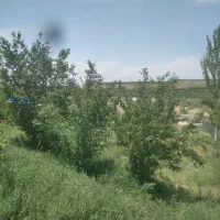 فروش-باغ-صفا