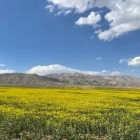 زمین/ زمین فروشی / زمین کشاورزی / سرمایه گذاری