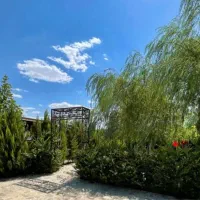 اجاره مغازه ۶۰ بر میثم