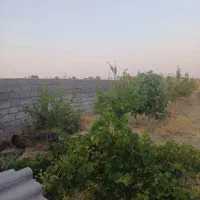 باغ ب متراژ 1500 متر