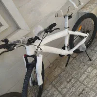 دوچرخه  ۲۴ و ۲۶|دوچرخه، اسکیت، اسکوتر|تربت‌حیدریه, منظر|دیوار