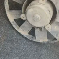 فن پژواردی