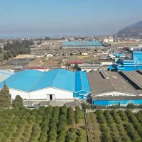 مهندس برق اقا/خانم