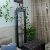 بوفه ۴طبقه، هالوژن دار،سالم