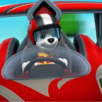 حواله ساینا اس