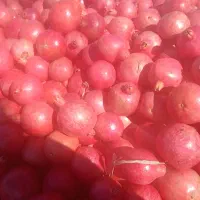 یاقوت سیاه انار