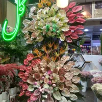 تاج گل|گل و گیاه طبیعی|تهران, شمشیری|دیوار