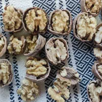 گردو کاغذی وتازه شماره تماس|خوردنی و آشامیدنی|سردشت, |دیوار