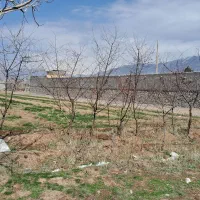 زمین ۶۶۰ متر در فوشنجان|فروش زمین و ملک کلنگی|نیشابور, فضل|دیوار