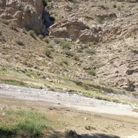 خریدار تاکسی