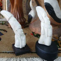 تندیس shir daryaei