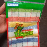 محصولات کاکتوس|سفره، حوله، دستمال آشپزخانه|رشت, پل تالشان|دیوار