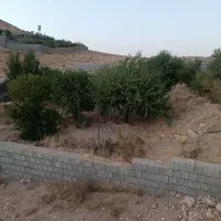 فروش خانه ویلایی1000 متری ۱ خوابه در گلستان|فروش خانه و ویلا|شیراز, گلستان|دیوار