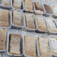 عسل طبیعی تکاب|خوردنی و آشامیدنی|اسلامشهر, شهرک مفیدی|دیوار