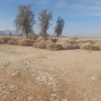 اجاره ۱۰ ساعت اب بازمین جهت کشت صیفی جات