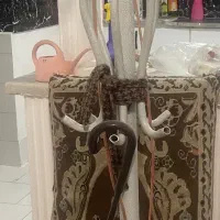 جا لباسی ایستاده