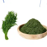 شوید خشک معطر رامهرمز درجه یک