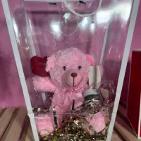 هدیه ولنتاین عروسک|گل و گیاه طبیعی|آمل, |دیوار