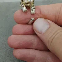 انگشتر نقره