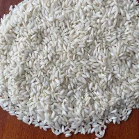 برنج عنبر بو شوشتر