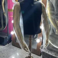کار رخت بند رگال خور کد ۵۴|بندرخت و رخت‌آویز|تهران, نعمت‌آباد|دیوار