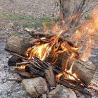 1200-متر-زمین-قابل-ساخت-گاوخانه
