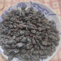 کشمش مویز بدون هسته