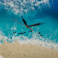 ساعت دیواری|ساعت دیواری و تزئینی|شاهرود, |دیوار