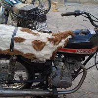 فروش موتور سیکلت