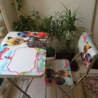 میز و صندلی کودک دختر کفشدوزکی