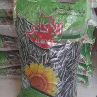 تخمه گل افتاب بادام هندی