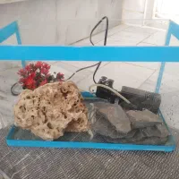 اکواریوم شیشه خم