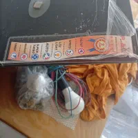 هود|هود|مشگین شهر, |دیوار