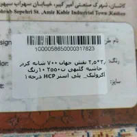 فرش طرح دست بافت ۹ متری|فرش|بهبهان, |دیوار