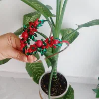 اکسسوری یلدا