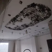 نقاشی ساختمان.کناف فقط هشتگرد|خدمات پیشه و مهارت|هشتگرد, شهرک ریحانه|دیوار