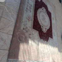 فرش کارکرده|فرش|گلبهار, شهر جدید گلبهار|دیوار