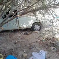 پیکانفروشی