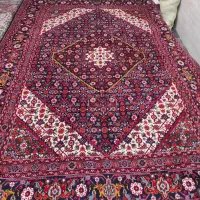 جفت۶متری ماهی مراغه درحدنو