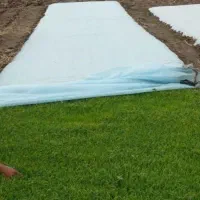 فوم های ضد سرما برای صیفیجات