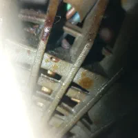 همچی سالم|هود|تربت‌حیدریه, ترمینال|دیوار