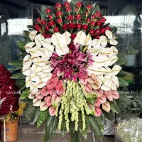 گل نمایشگاهی بین المللی سئول ایران مال شهر آفتاب|گل و گیاه طبیعی|تهران, امانیه|دیوار