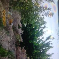 باغچه-علی-اباد-طپانچه500-متر