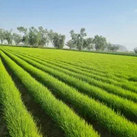 زمین تجاری مسکونی۵در۲۰