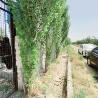 فروش زمین ۲۰۰ متری/درخت آب با سند|فروش زمین و ملک کلنگی|شهریار, شهریار|دیوار