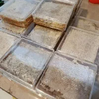 عسل چنبره|عمده‌فروشی|شیراز, سرو|دیوار