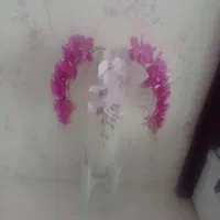 گلدان