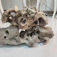 ماهی و لوازم