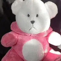 عروسک خرس|اسباب‌بازی بچه|مریوان, |دیوار